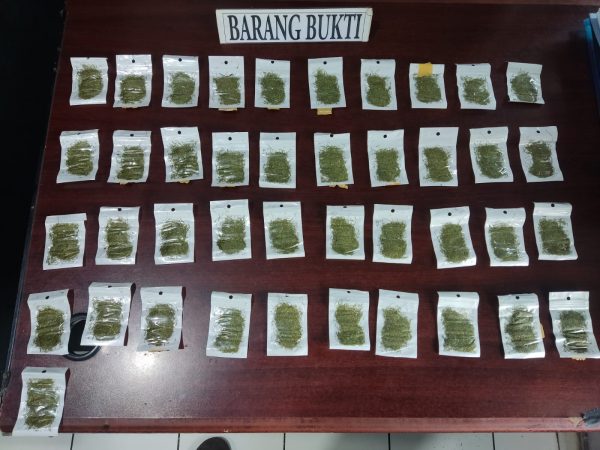 Dua Pemuda Pengedar Narkotika Jenis Gorilla Berhasil Ditangkap Satresnarkoba Polres Cilegon