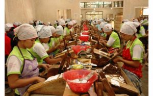 APTI Minta Pasal Tembakau dalam RUU Kesehatan Dicabut