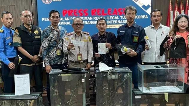Selundupkan 94 Ekor Reptil dari Indonesia, Mahasiswi WN Korea Ditangkap Petugas Bandara Soetta
