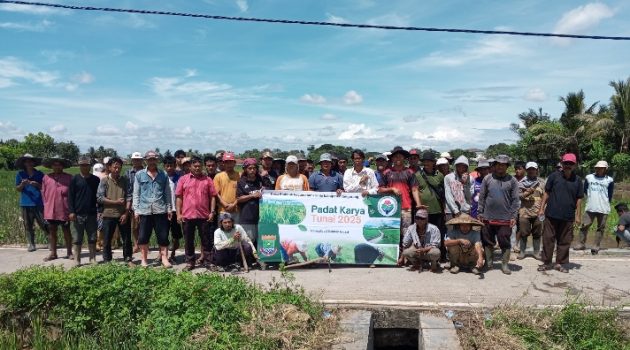 Pemdes Blukbuk Gelar Padat Karya Tunai Desa untuk Dukung Pertanian Warga
